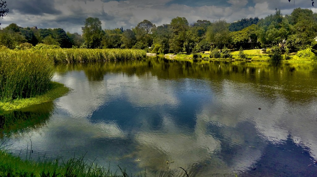 preserving-wetlands